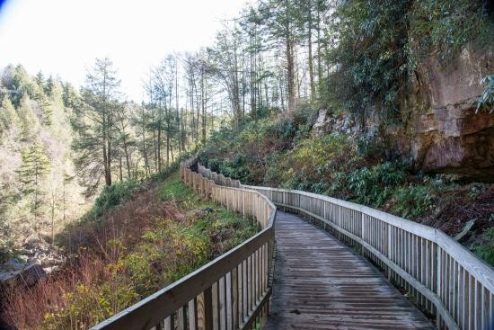 Some of the 214 steps that you must travel down to get to the falls. Not only are the wooden stairs there, but there is also a handicap trail.