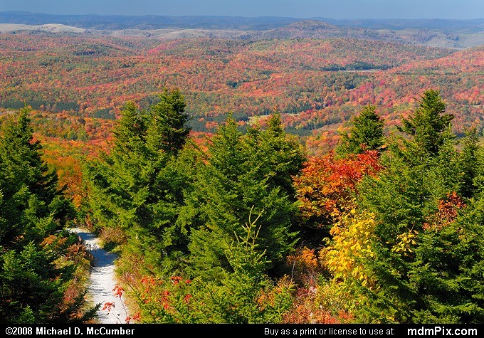 Whispering Spruce Trail has beautiful foliage and vegetation around its path. This trail goes all the way to the top of Spruce Knob but loops around so you can see a panoramic view of the mountains.