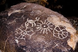 The Hohokam culture created these petroglyphs-the leading historical attraction in the park.