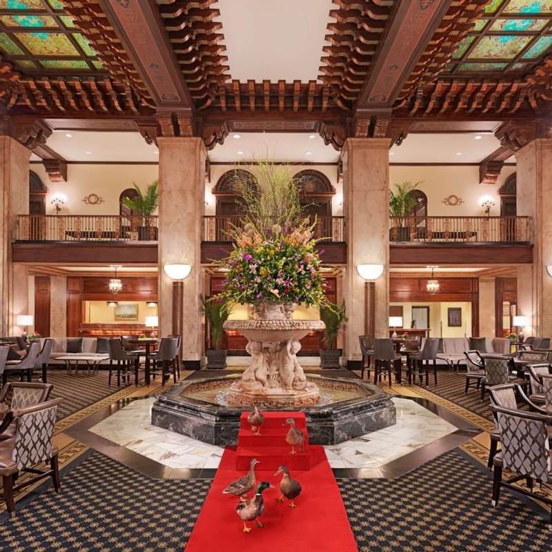 Carpet, Fountain, Ducks, Animals, Hotel, Design, Architecture