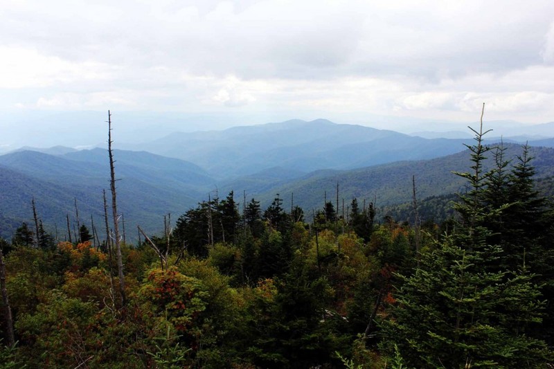 This is a fantastic photo by Andrew Bald of Clingmans Dome.