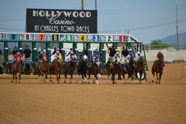 This is the starting gate for horse racing for the Hollywood Casino at Charles Town Races in 2012.