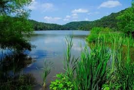 Beech Fork Lake