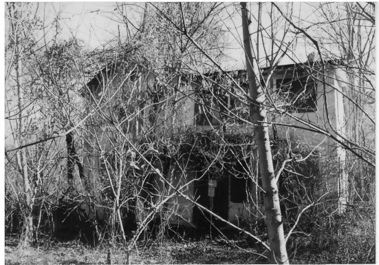 Plant, Black, Building, Black-and-white