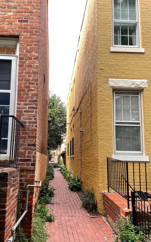 Plant, Building, Property, Window