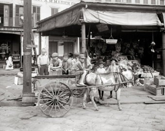A 1910 photograph of a food cart in the "Little Italy" section of the French Quarter.