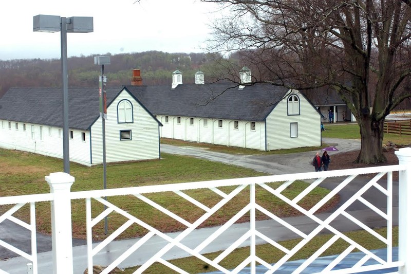 Some of the stables