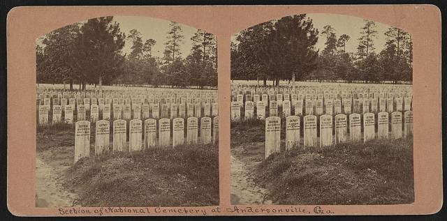 Photograph, Plant community, Land lot, Headstone