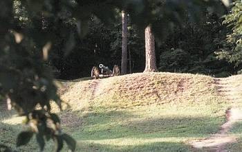 more preserved trenches