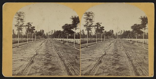 Photograph, Line, Land lot, Parallel