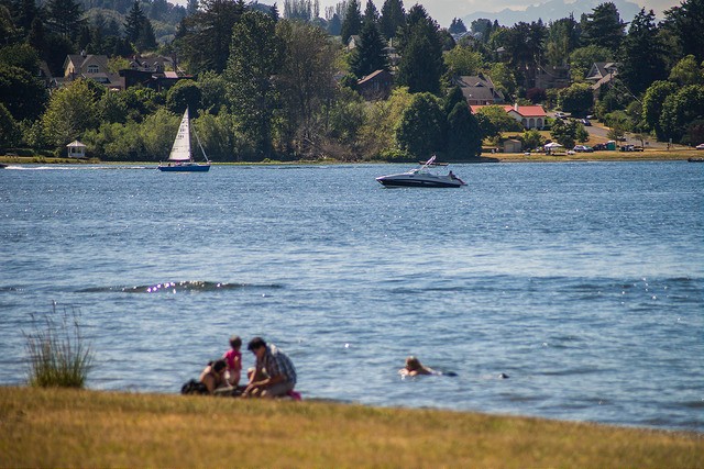 The Seward Park Beach Area