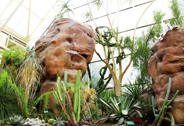 Conservatory: Desert Biome