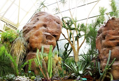 Conservatory:  Desert Biome 