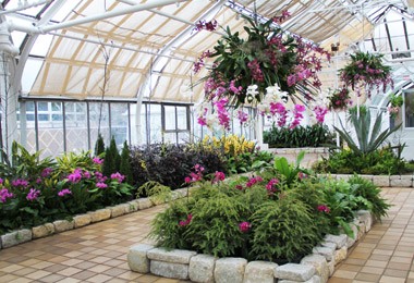 Conservatory: Dorothy M. Davis Showhouse