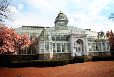 Palm House