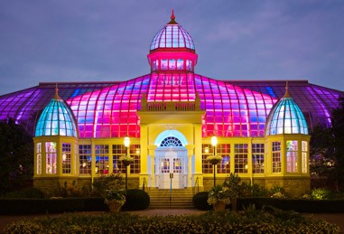 Experience Art Light at night