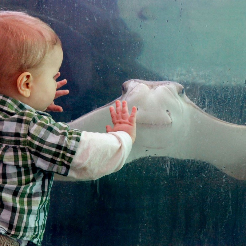 Water, Vertebrate, World, Gesture