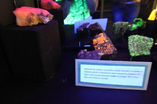 This exhibit shows fluorescent minerals under Black light. These colors do not appear under regular lighting.