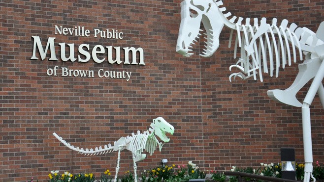 Closeup shot of the dinosaur sculptures