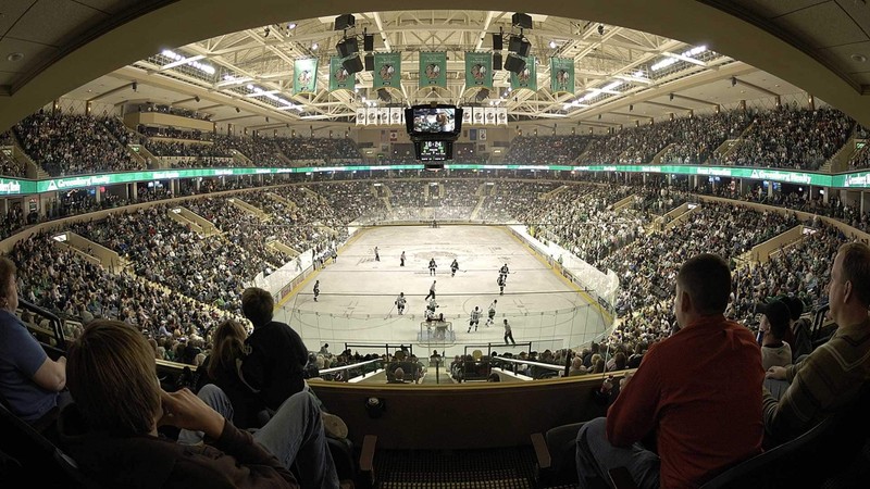 Teams play hockey on ice rink surrounded by fans wearing green and white.