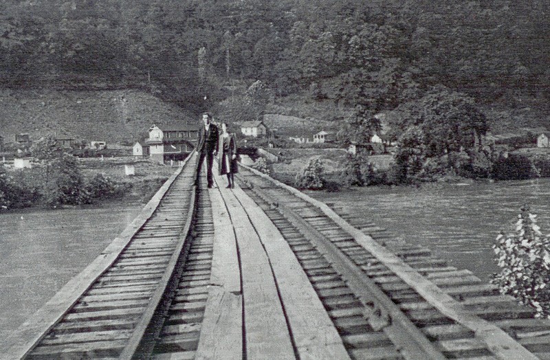 Plant, Tree, Track, Black-and-white