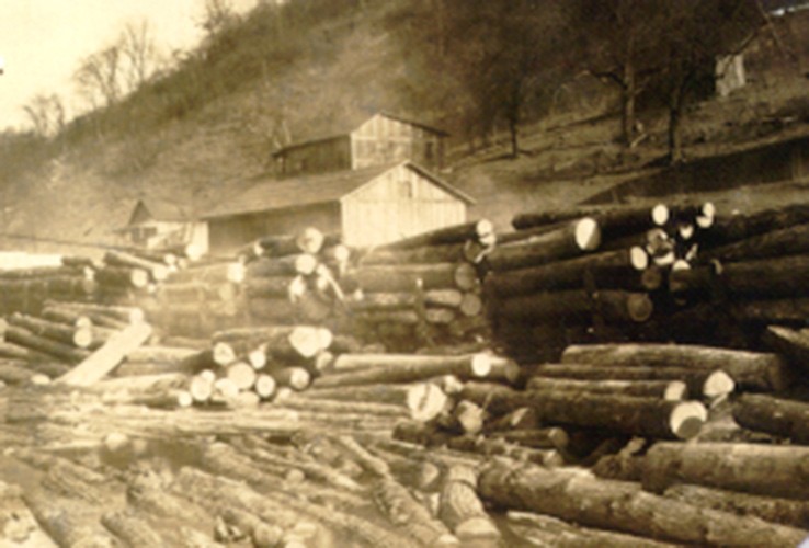 Wood, Building, Logging, Tree