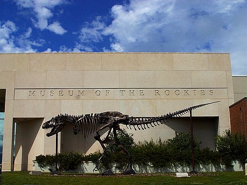 The Museum of the Rockies is a Smithsonian Affiliate and a Federal Repository for fossils. 