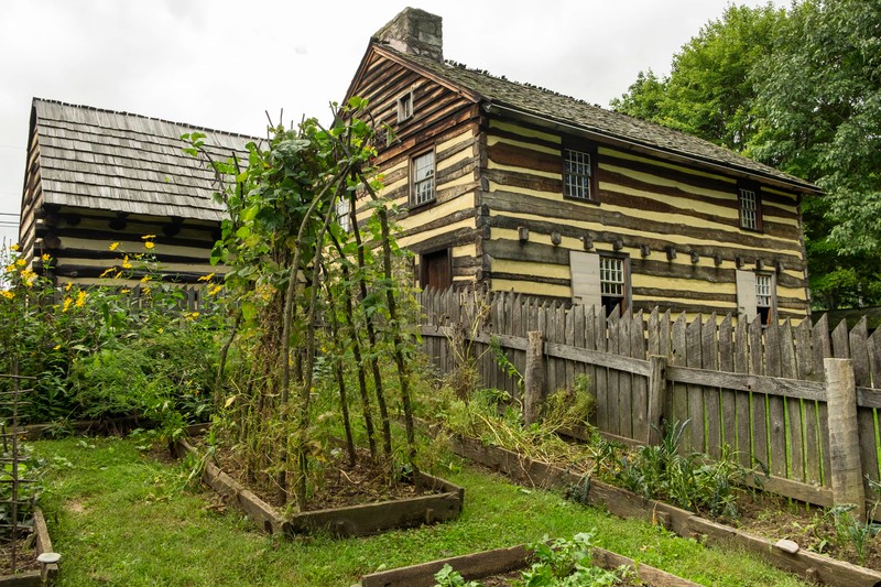 The garden in full bloom