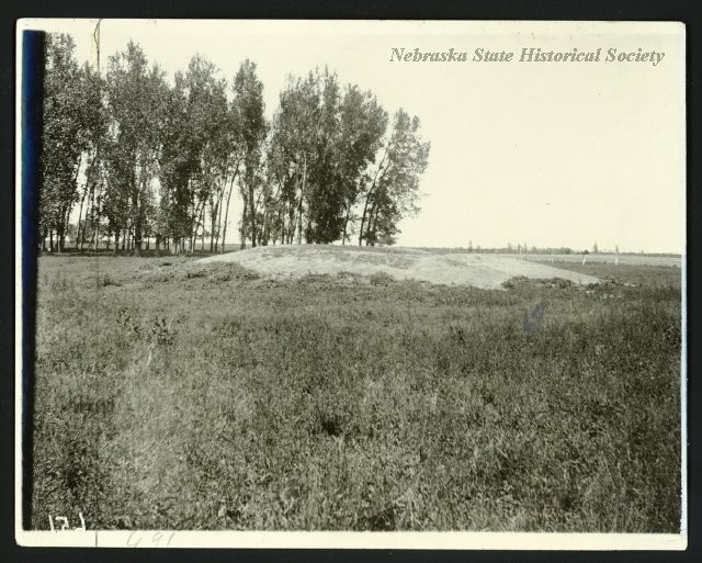 Vegetation, Grass, Natural landscape, Photograph