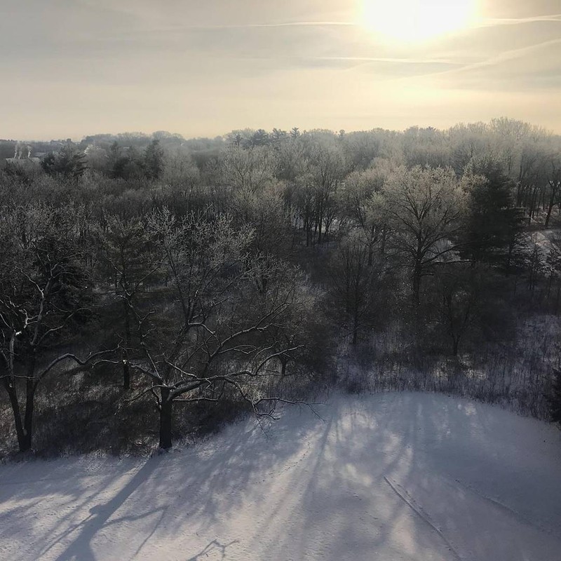 Winter View of Lake of the Woods Forest Preserve from the Top of HI Tower