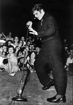 Elvis performing at the park