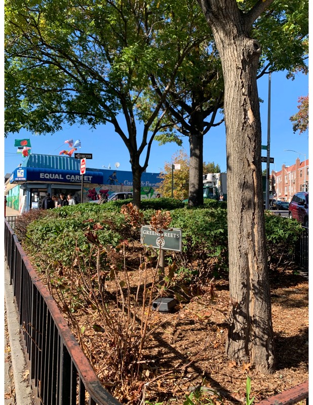 A sign saying "Greenstreets" next to a tree