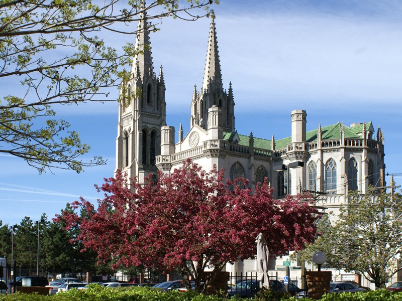 The Cathedral in the springtime, when it shines the brightest white.