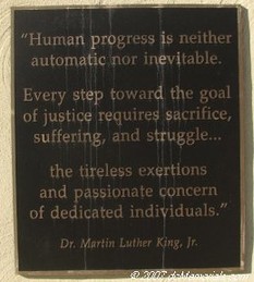 "Human progress is neither automatic nor inevitable. Every step toward the goal of justice requires sacrifice, suffering, and struggle...the tireless exertions and passionate concern of dedicated individuals."
                            