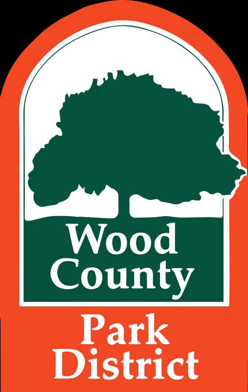 Tree, Font, Automotive decal, Logo