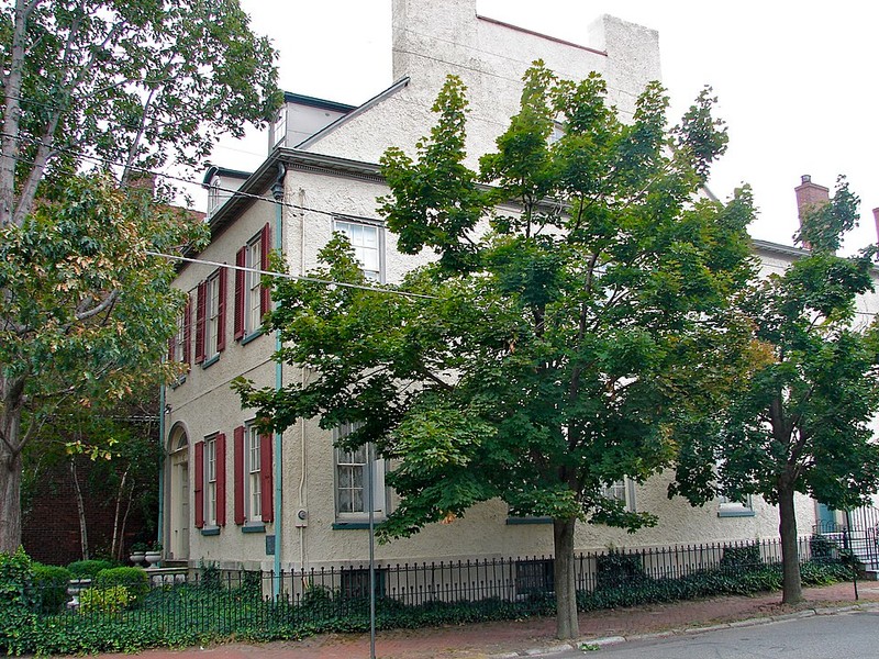 Property, Neighbourhood, Tree, Leaf