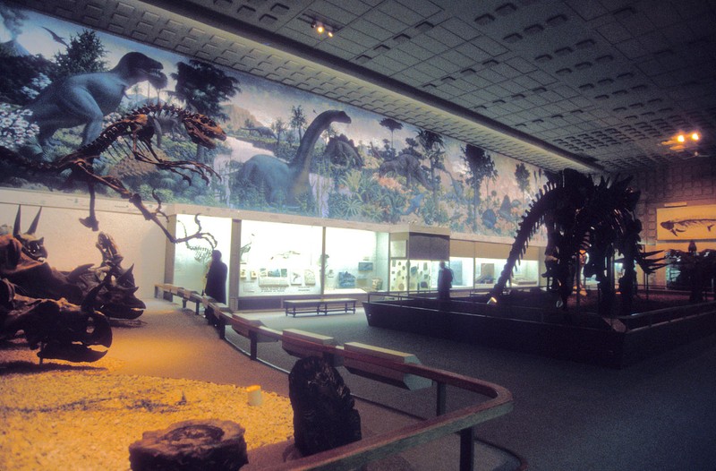 A view of the Great Hall of Dinosaurs