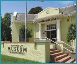 The Santa Cruz Museum of Natural History is often referred to as "the whale museum" by locals owing to its incredible collection of marine life. 