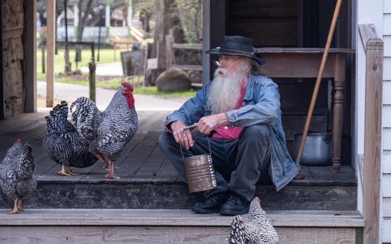 Bird, Hat, Human, Infrastructure