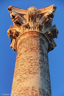 A detailed view of Old White's capital