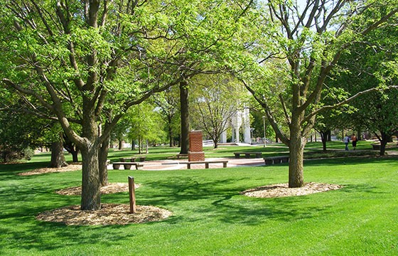 Northwest Missouri State University is the official Missouri State Arboretum.