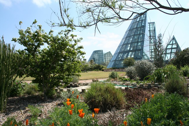 The San Antonio Botanical Garden's Conservatory