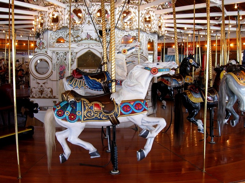 A few of the horses on the carousel. Since they face the public as the carousel turns, the right sides of all of the carvings are more ornate than the left sides.