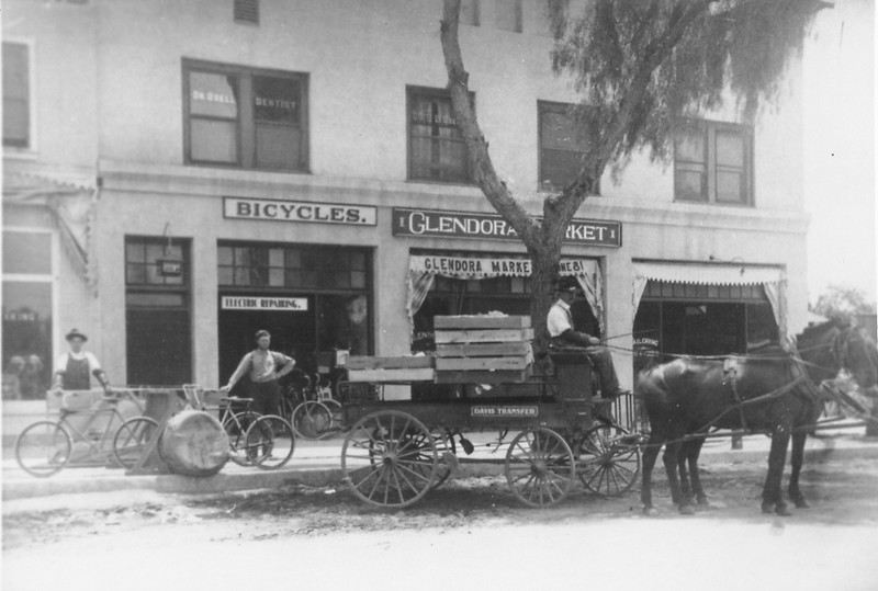 Wheel, Horse, Window, Vehicle