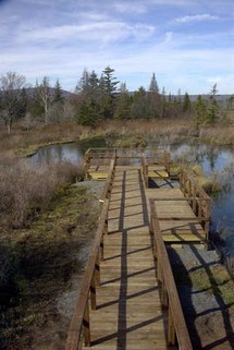 Canaan Valley National Wildlife Refuge was established in 1994 and is one of the most diverse freshwater wetland areas in Appalachia.