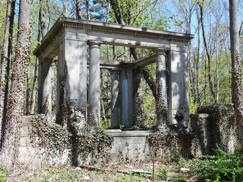 Trunk, Groundcover, Shade, Memorial