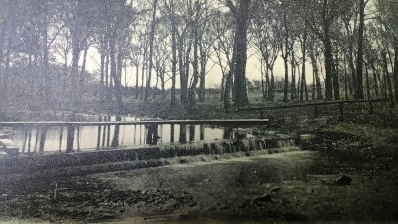 Postcard image of Carter Spring now part of the Battle of Carthage State Historic Site. Featured in temporary postcard display during 175th Anniversary of Carthage exhibit at Powers Museum in 2017.