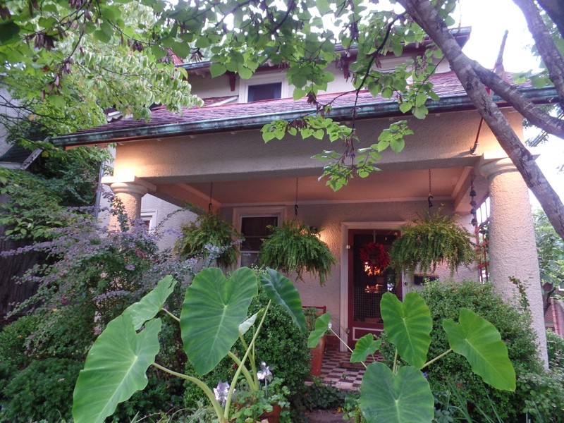 Plant, Building, Window, Botany