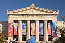 The Shedd Aquarium was founded in 1926 and moved into this beautiful building 1930.