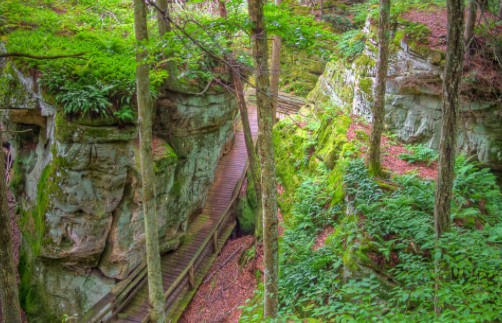 Beartown State Park